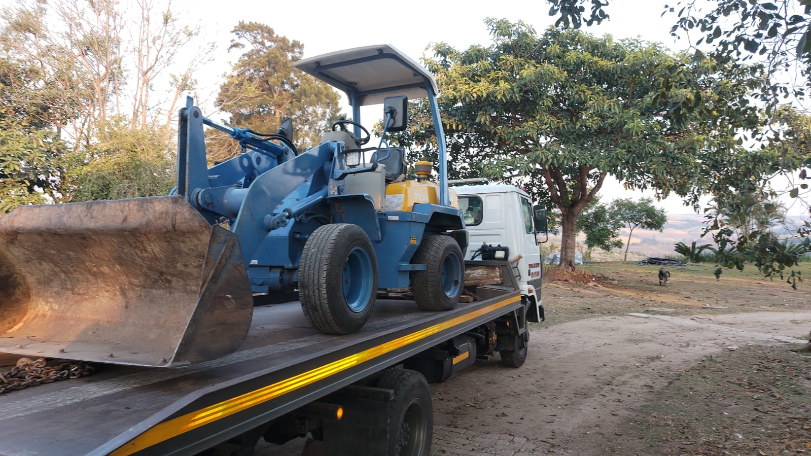 Wheel loader secured on a flatbed tow truck